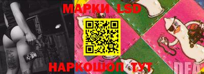 крисы Ставрополь