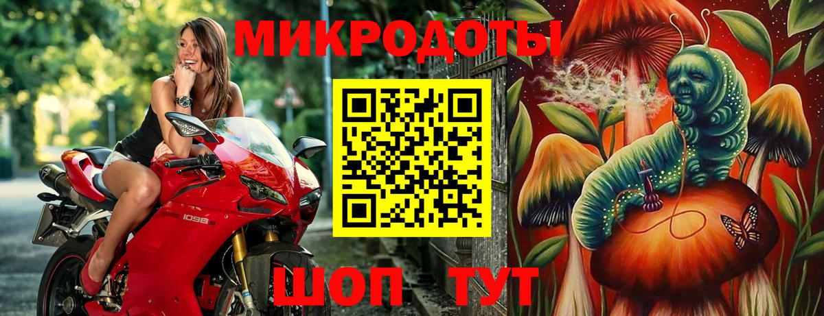 Псилоцибиновые грибы Psilocybe  Псилоцибиновые грибы ЛСД  где можно купить наркотик  Гусев  Вход с VPN 